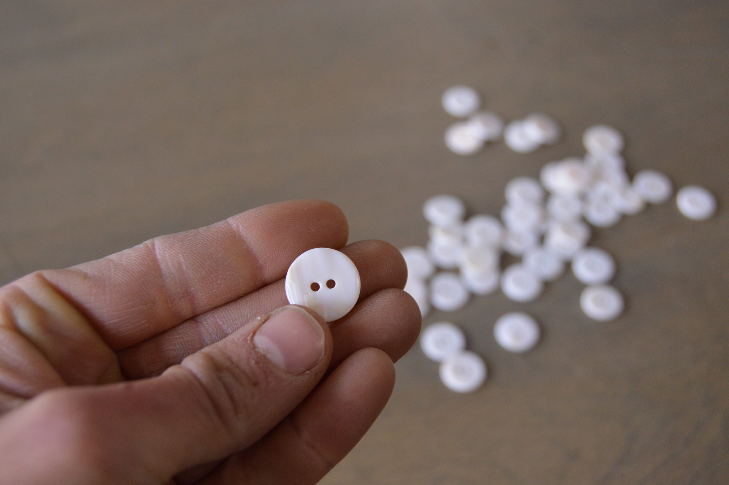 Rosewater Shell Buttons | Salt Lake Sewciety